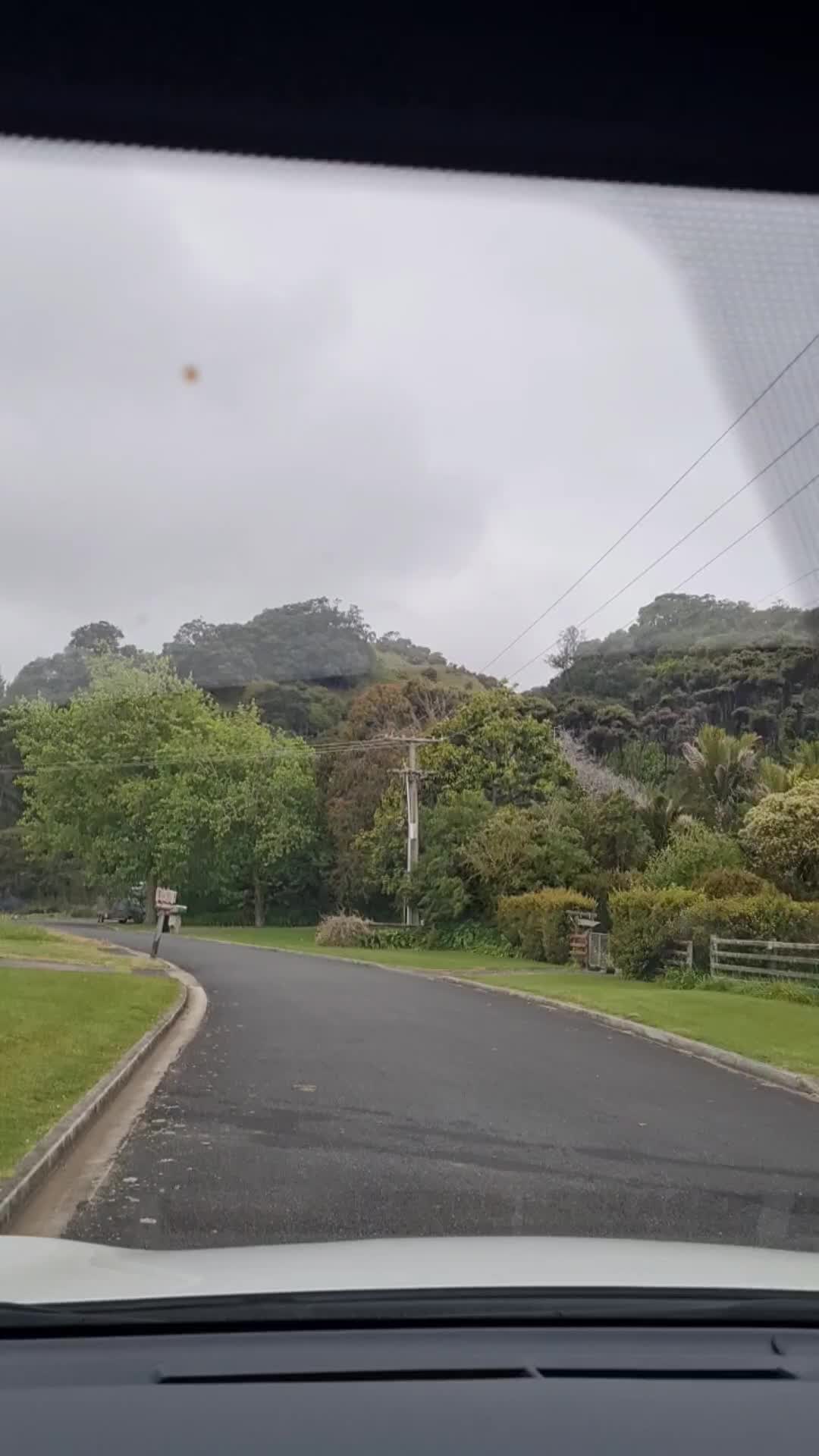 @Courier Driver in Paradise
