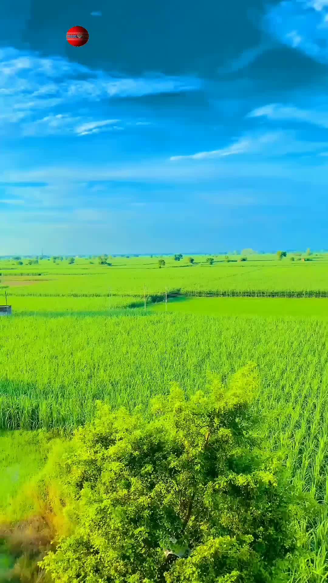 @yaduvanshi 07