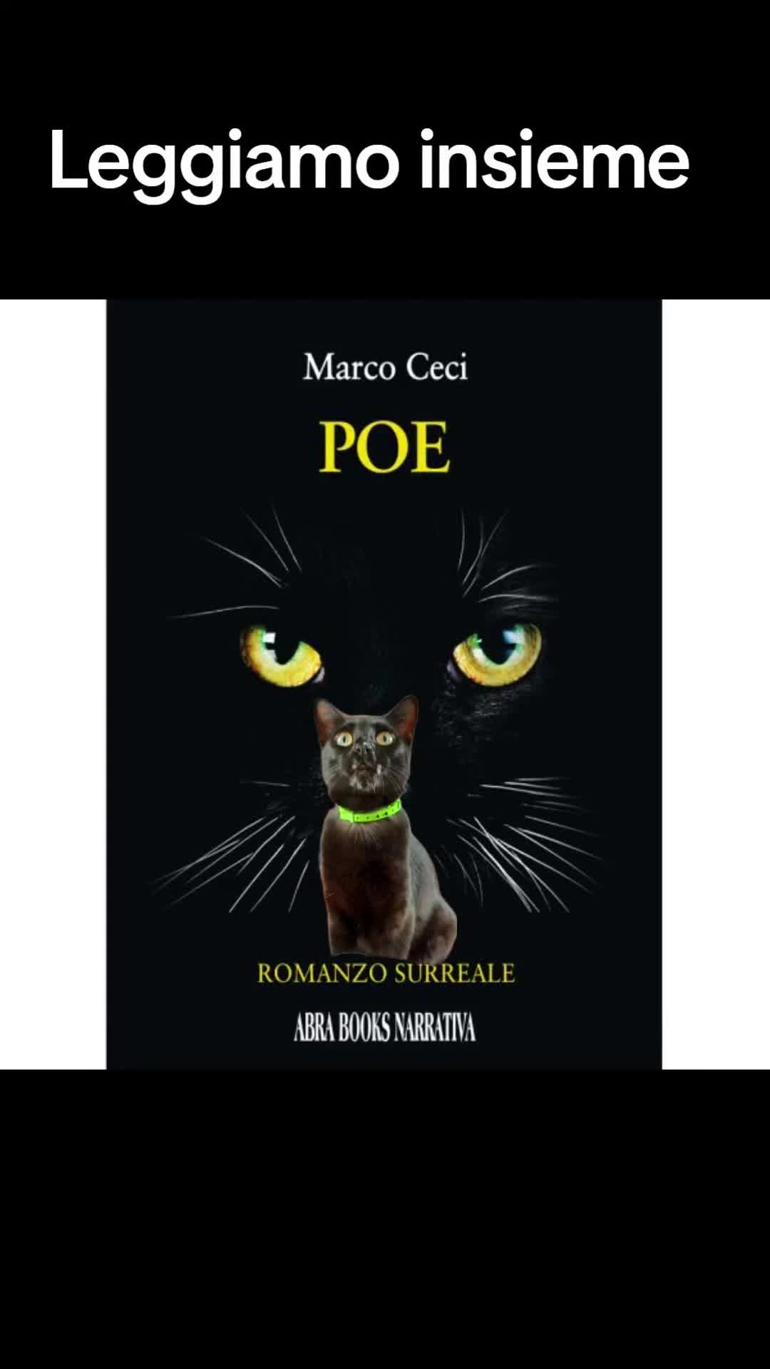 @marco ceci