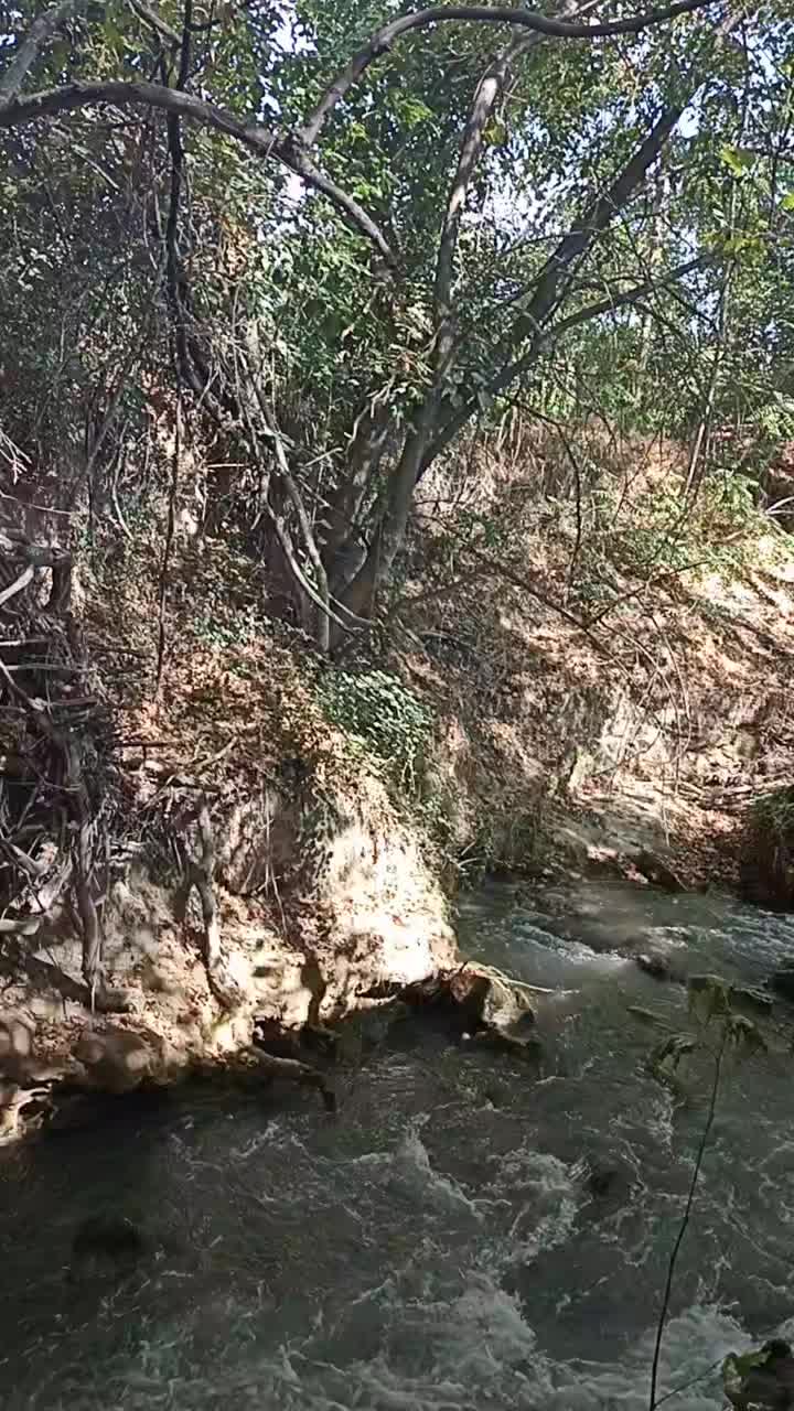 @Umut Akın