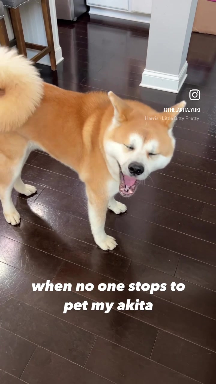 @Yuki