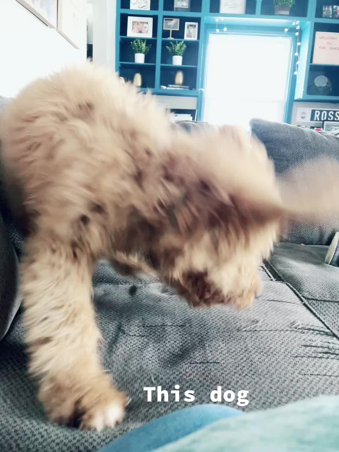 @IndyCarChick