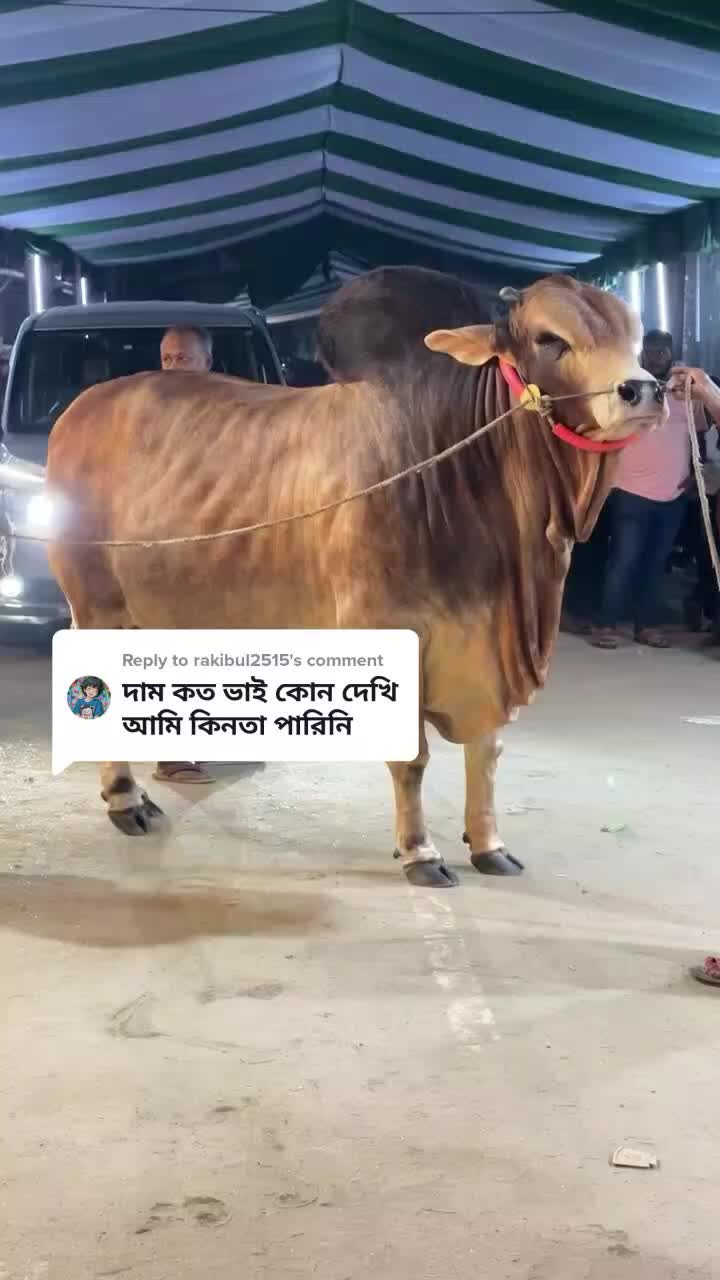 @গরুর ঘর🐄