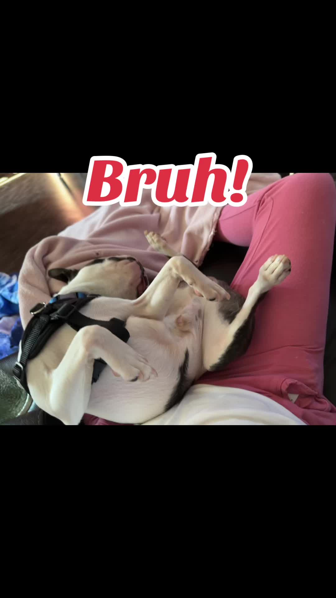 @2Much_Me
