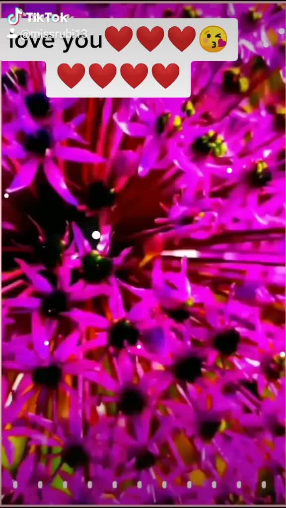 @dillip rubi🌹🌹🌹🌹