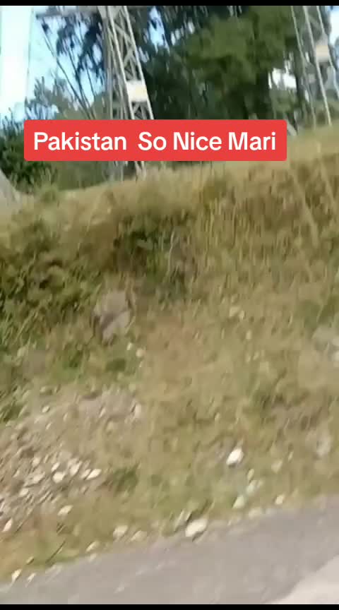 @🌎Muhammad Irshad🇵🇰