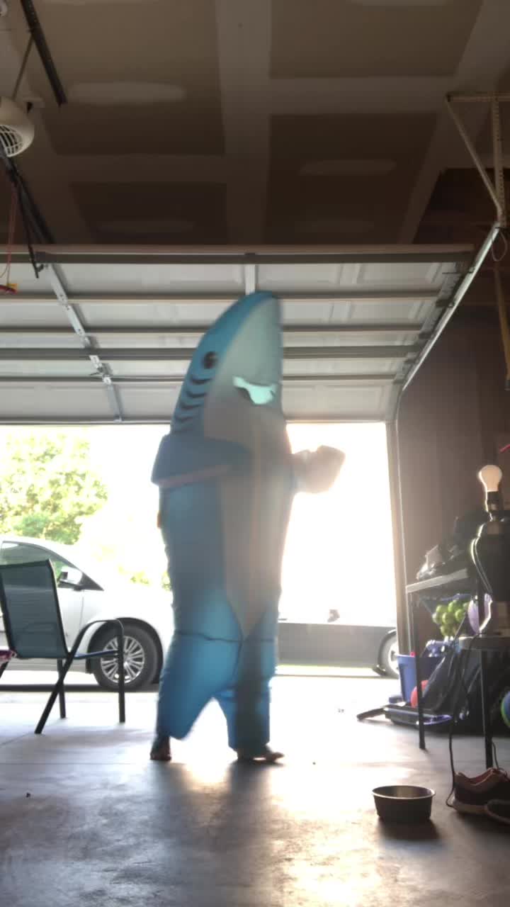 @sharkeyyy sharkkkkkk