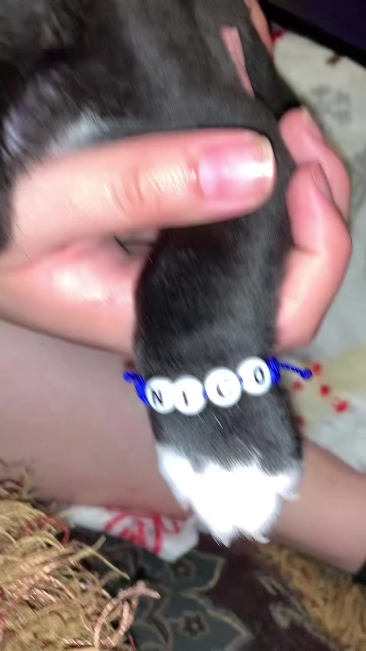 @💕