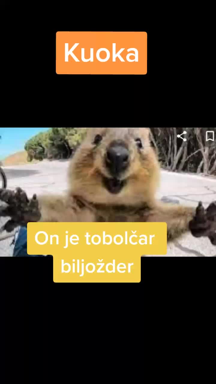@_