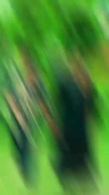 @kanxii thing