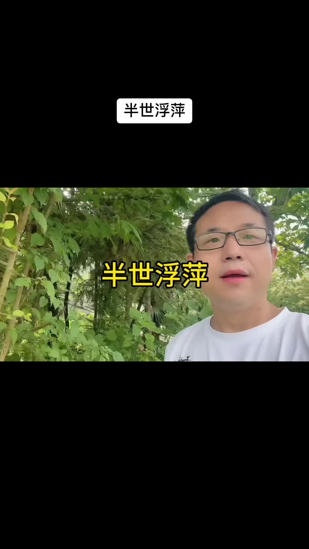 @王探长