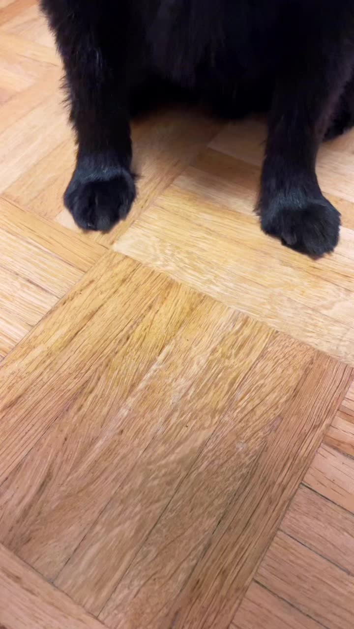 @cashandbentley_