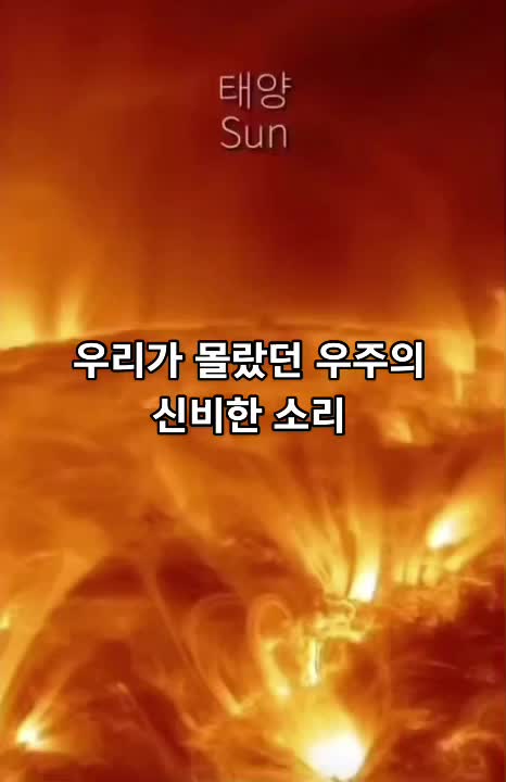 @연애안하면닭다리두개내꺼