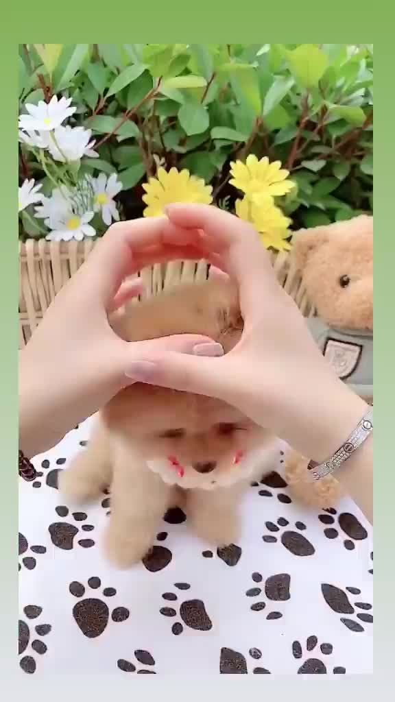 @axun99