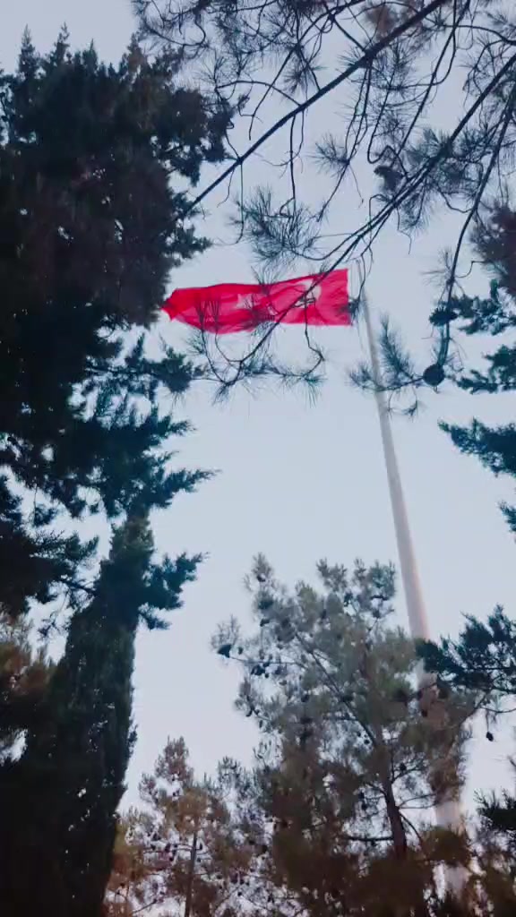 @sevgi özkara