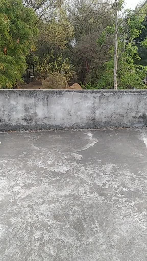 @Rahul Gundagani