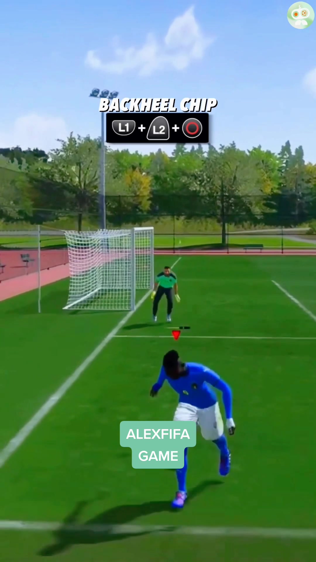 @ALEXFC🕹️