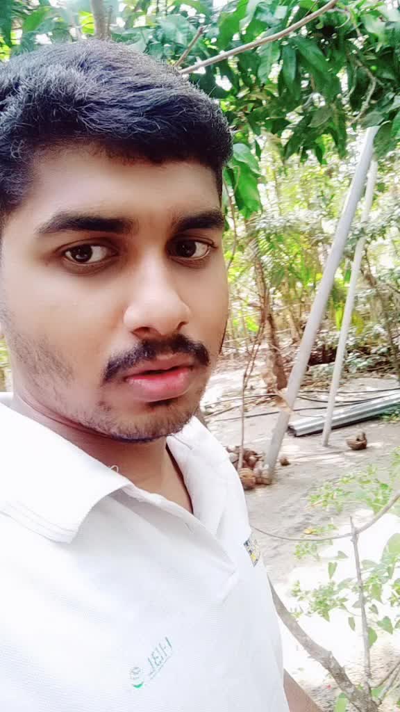@HAFFIS