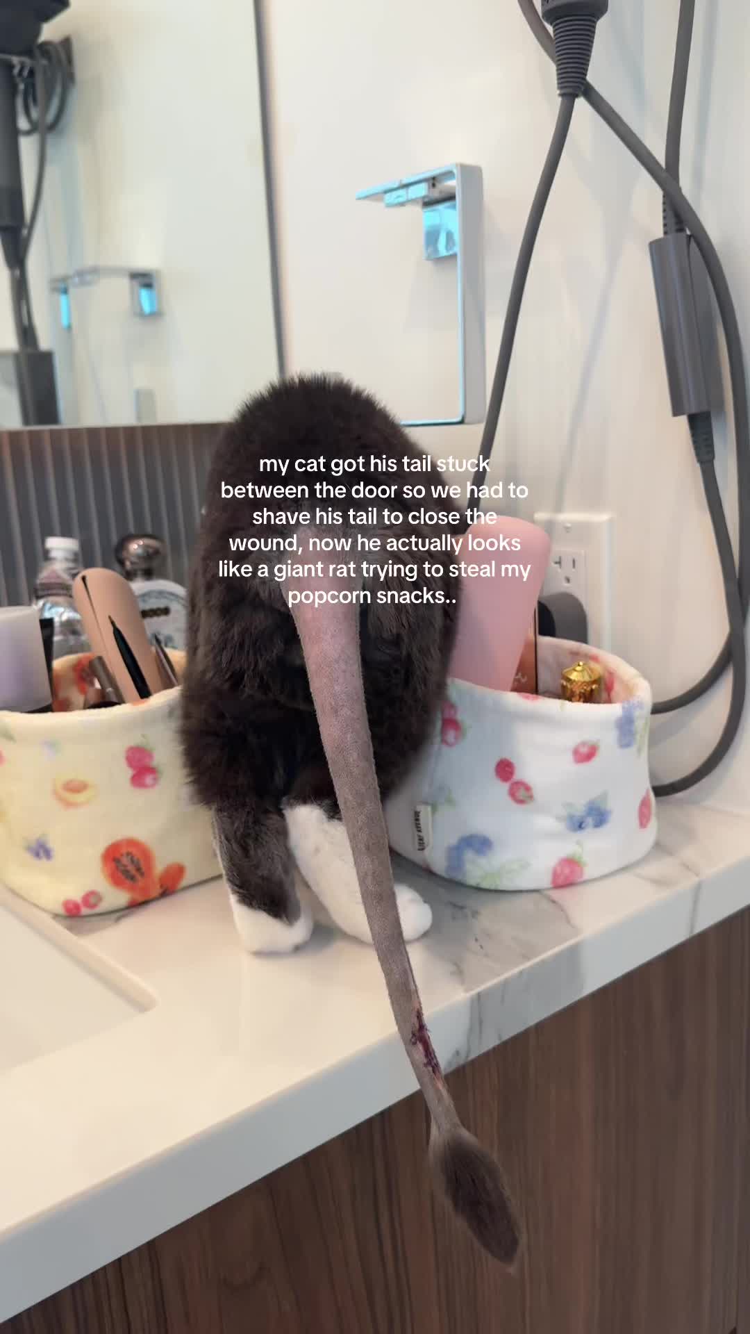 @angel