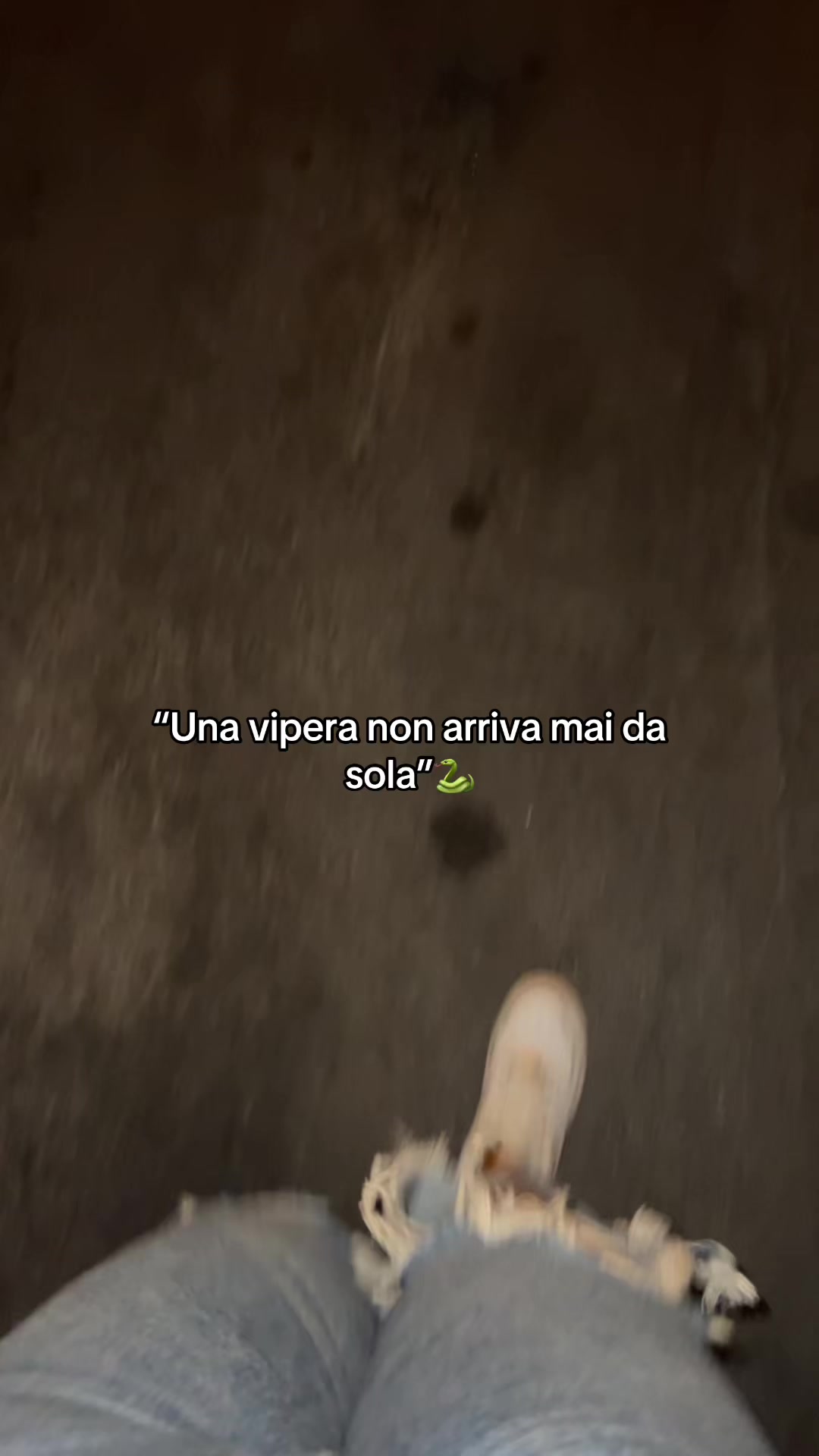 @Giulia🌻