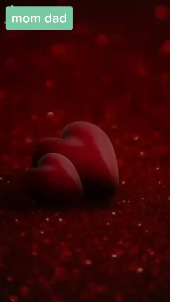 @Ranveer singh Rajput