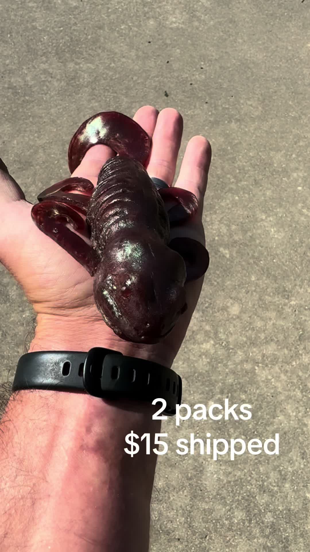 @Narrow Gate Baits