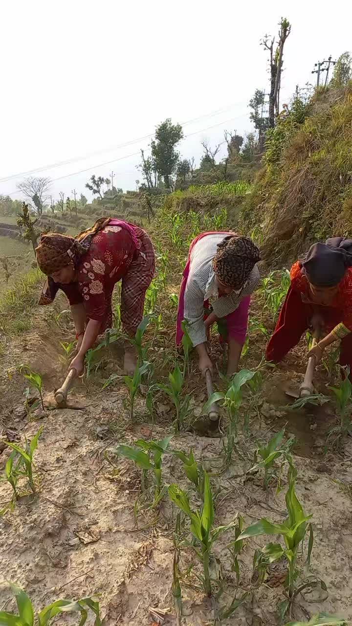 @Asmita Adhikari