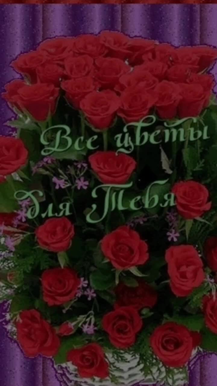 @user04012852532
