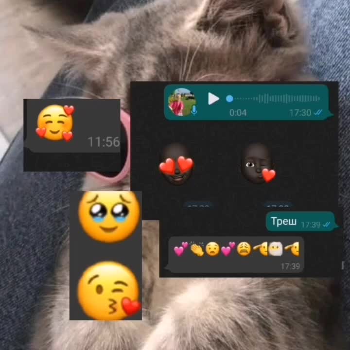 @с вами Верундэло 😼