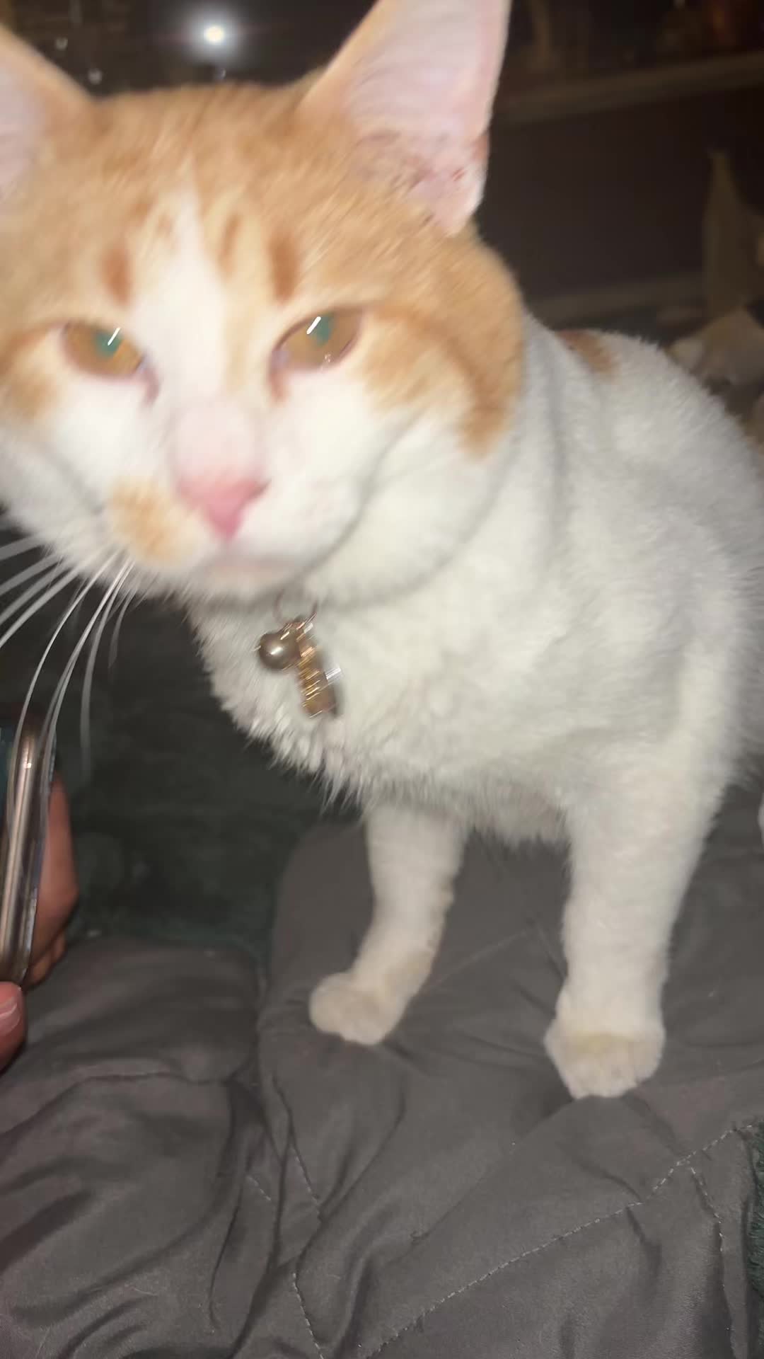 @E