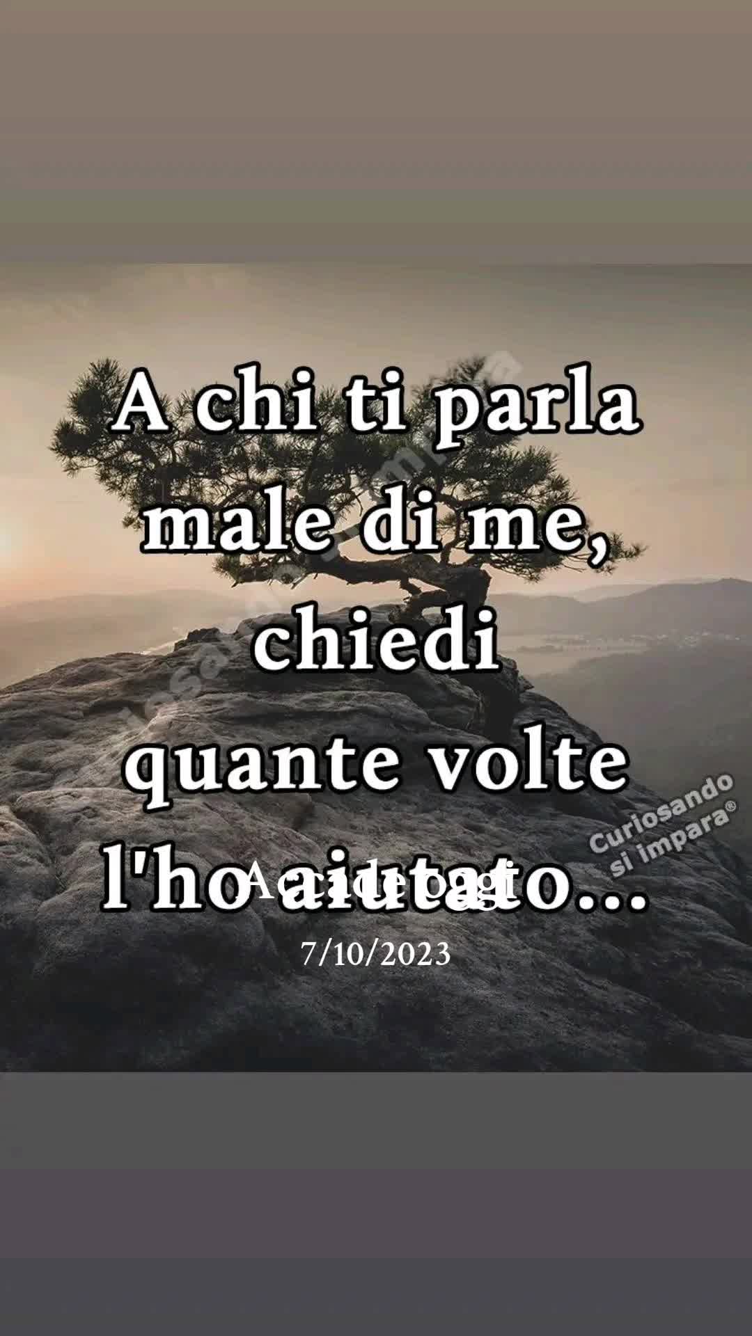 @Domenico Vibes