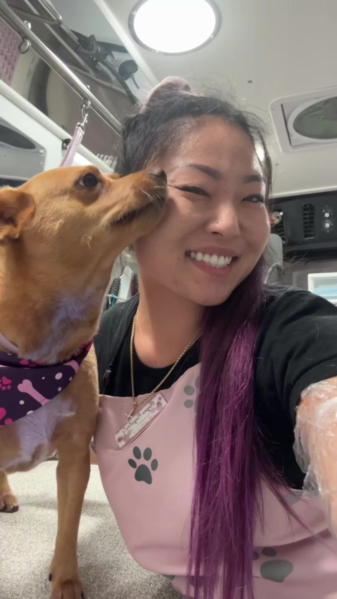 @the_Pawfectionist