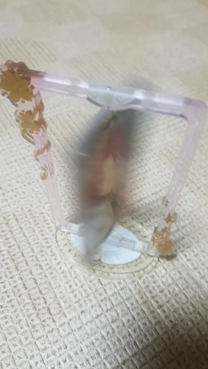 @하이애나
