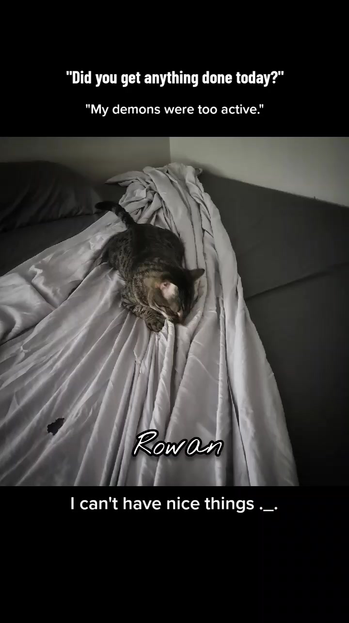 @Dark Recluse