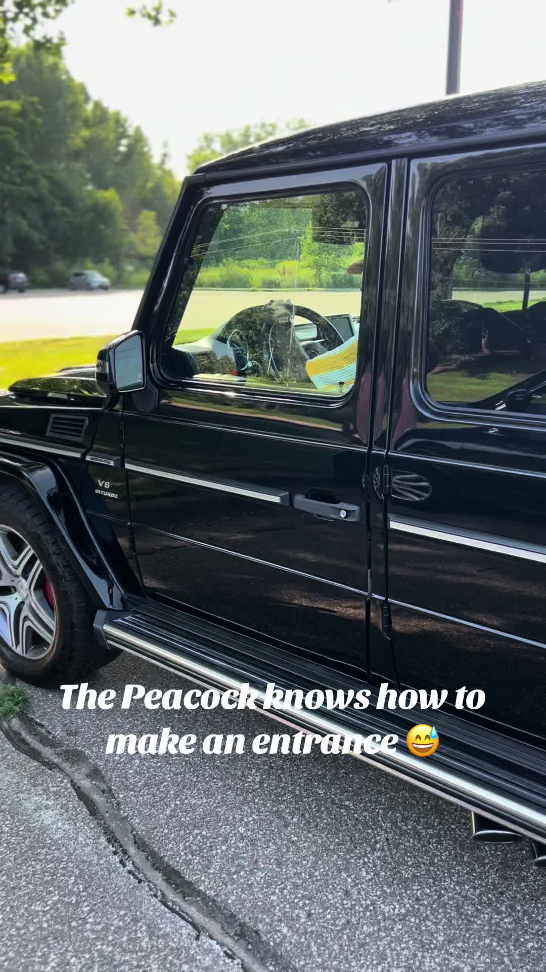 @Yaw Peacock 🦚