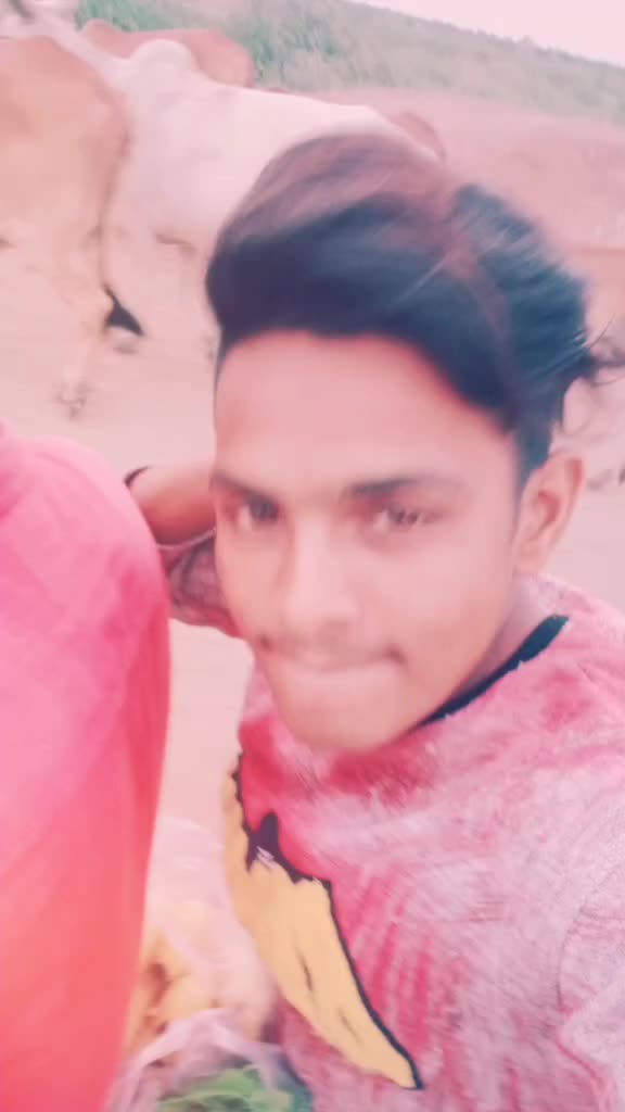@Navghan Thakor