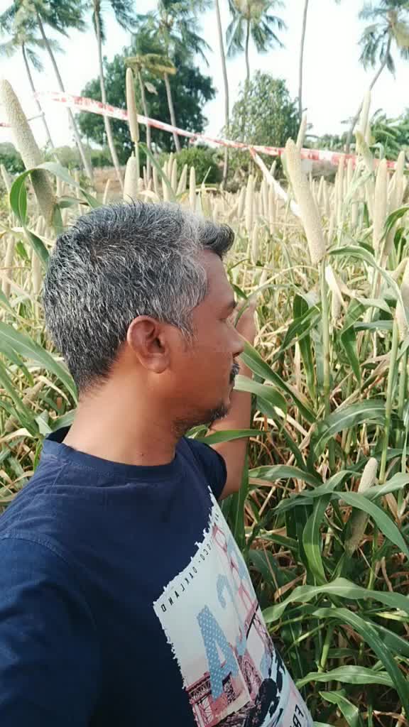 @Ramesh Vellasamy