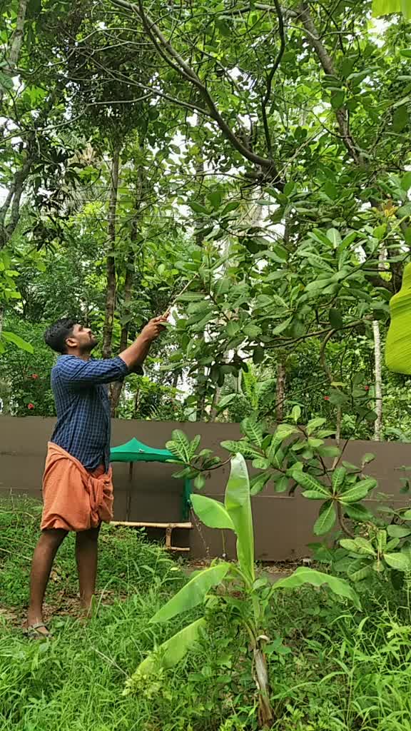@SAJEESH VEDHU