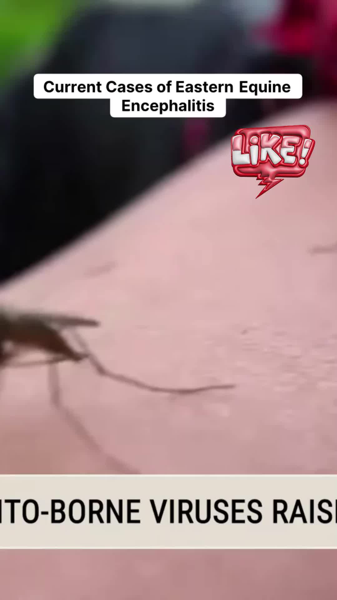 @SteTVShow
