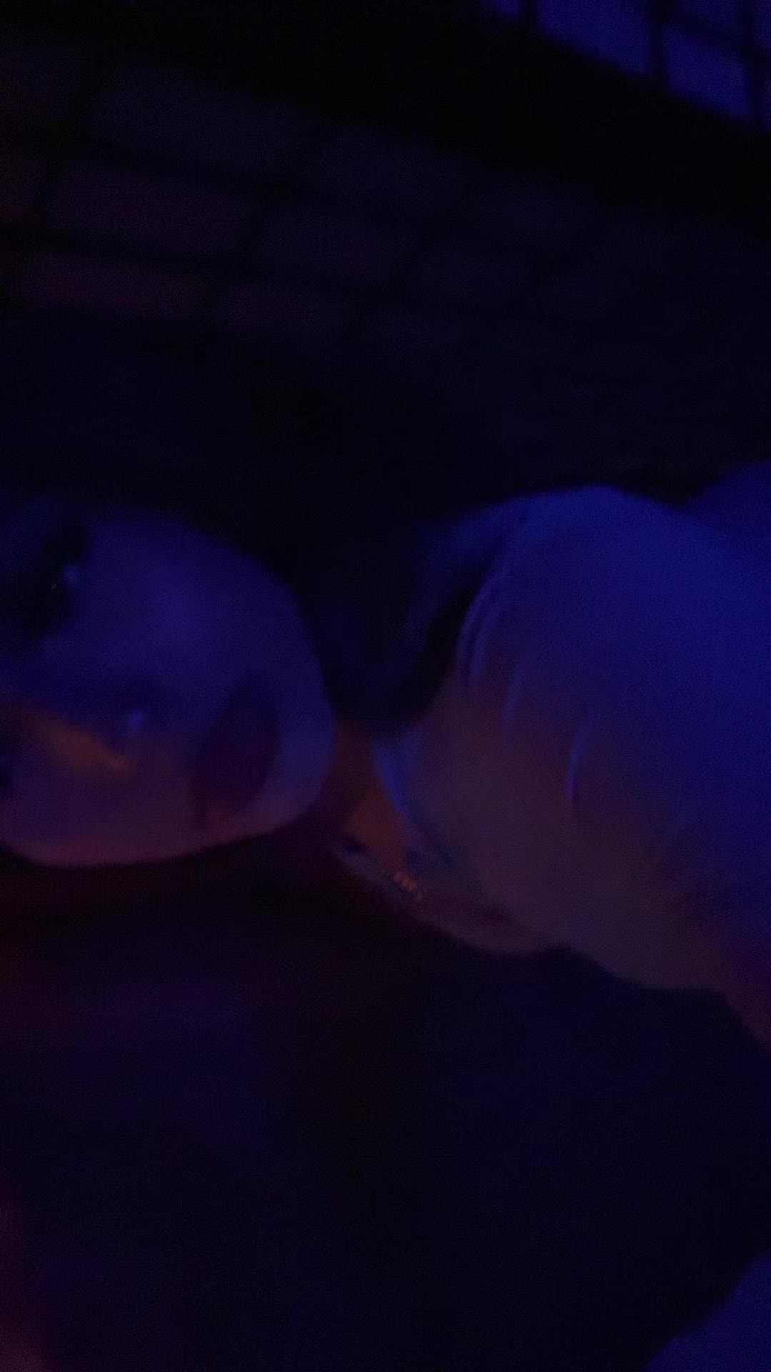@Henny