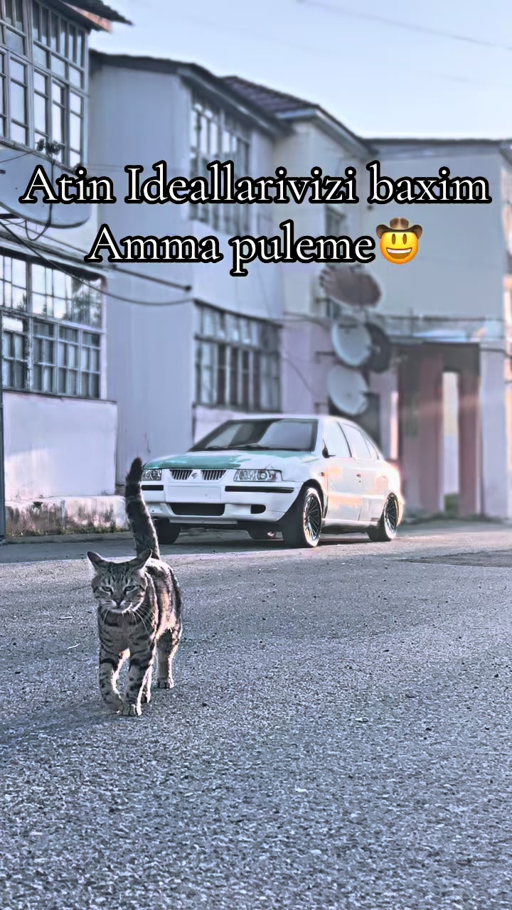 @Edu_657_