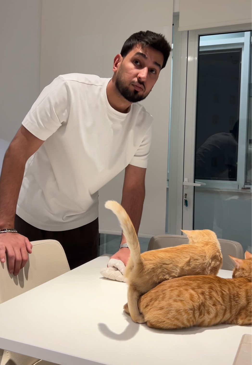 @𝗔𝗩𝗗𝗬