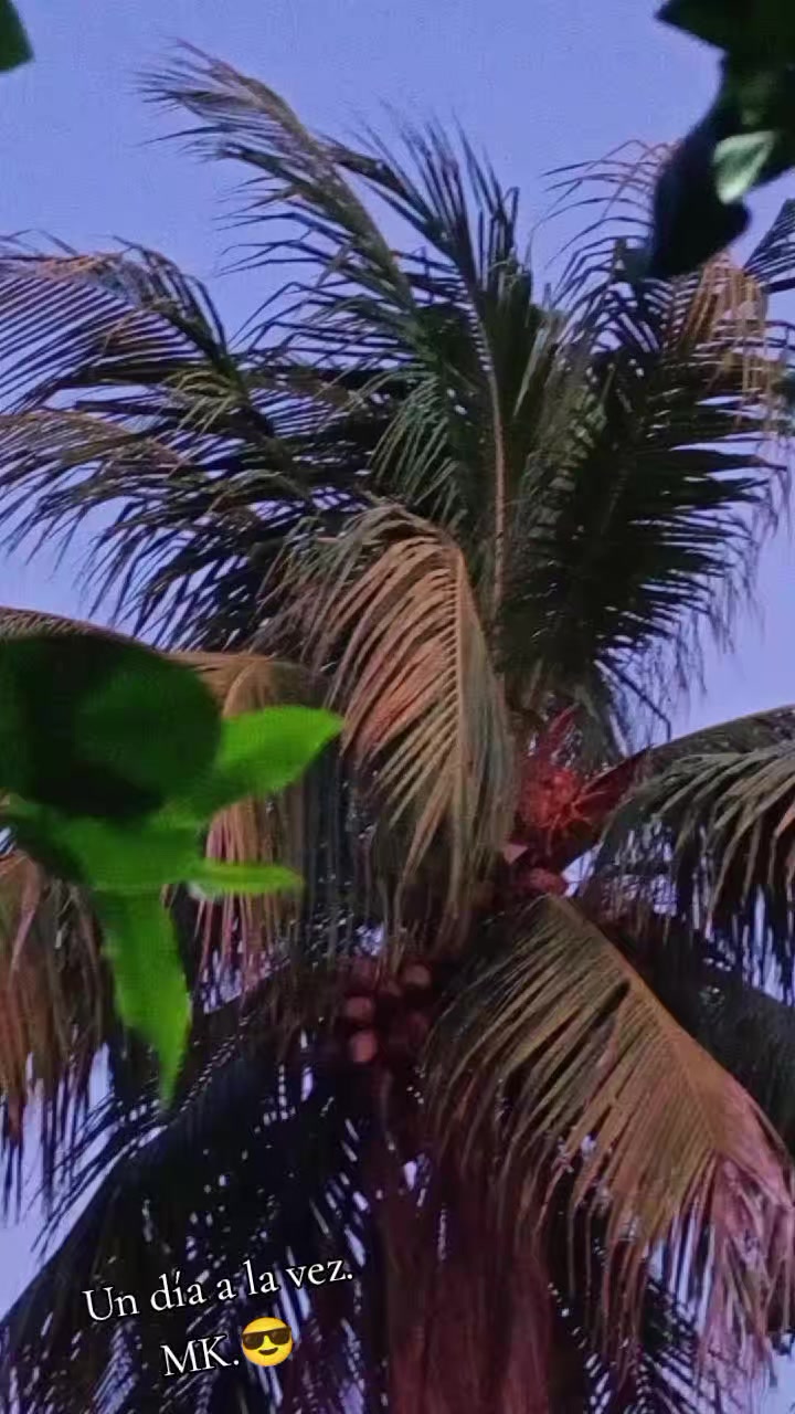 @Machita. 🦅