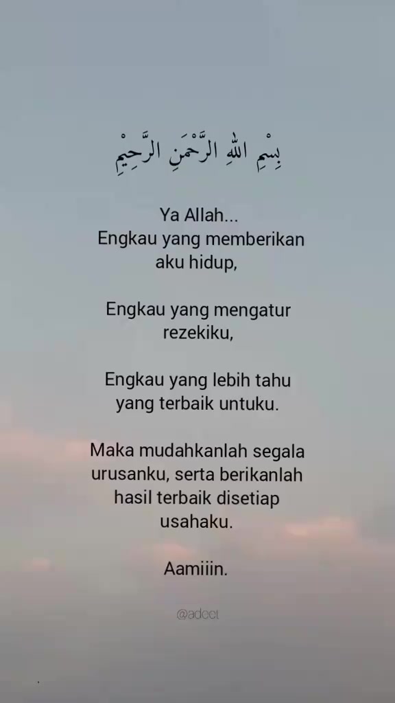 @🌷🌸 mawar Bodas🌸🌷