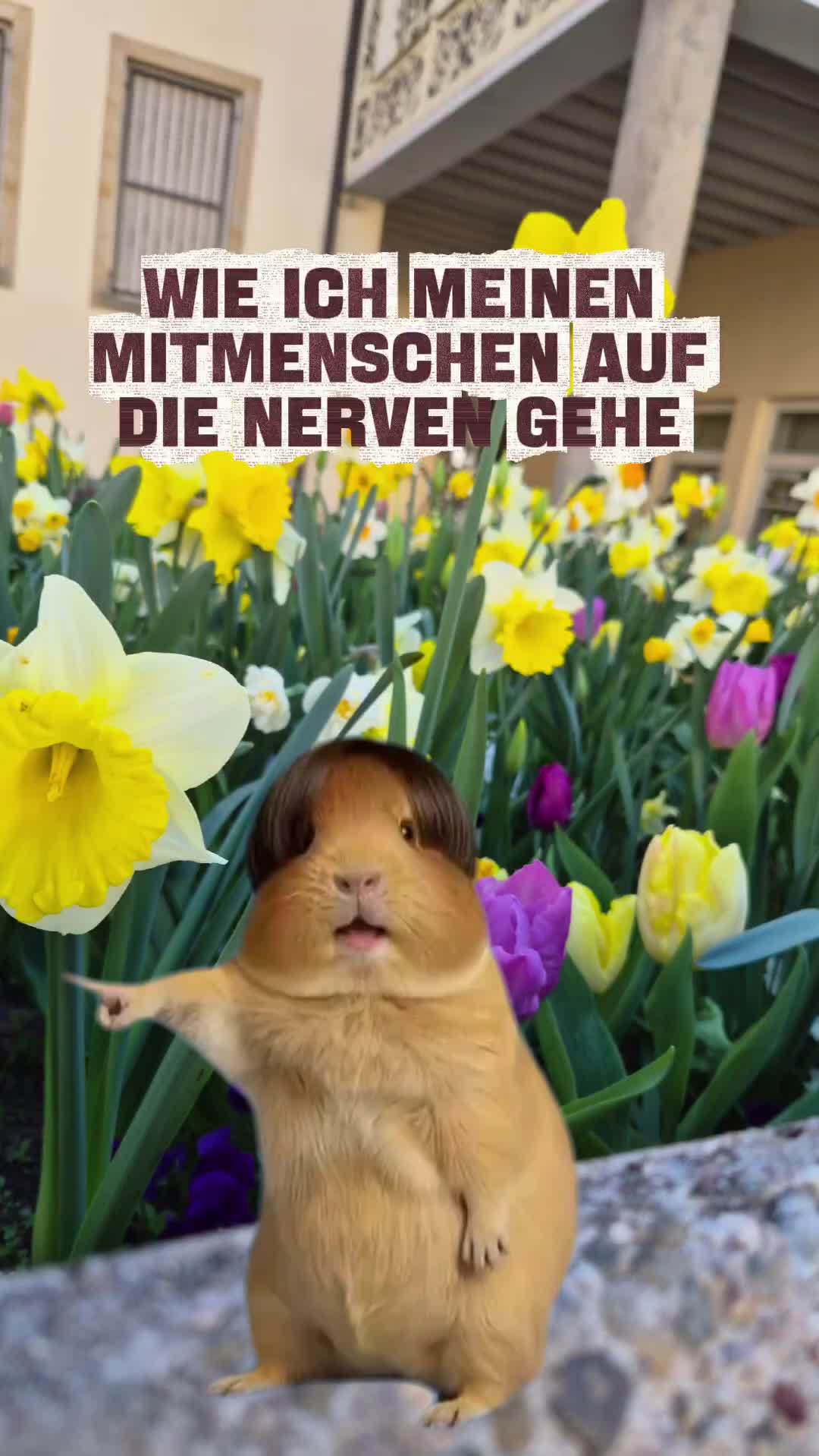 @🌷Michelle🌷
