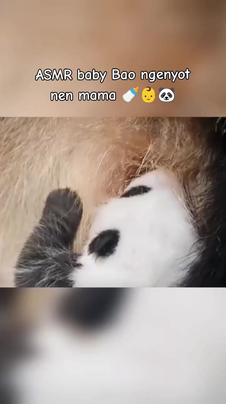 @FuRuHu