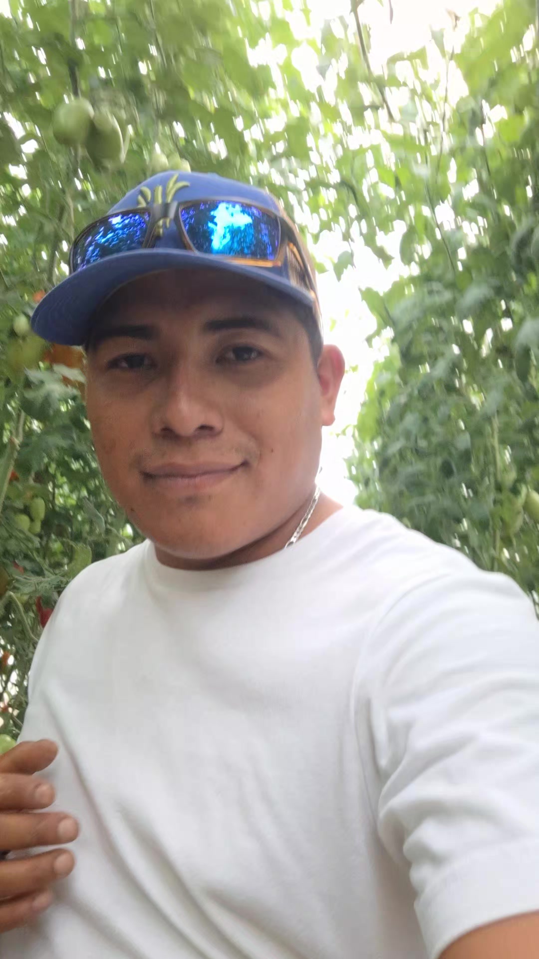 @El inge_agro🧑🌾🌽