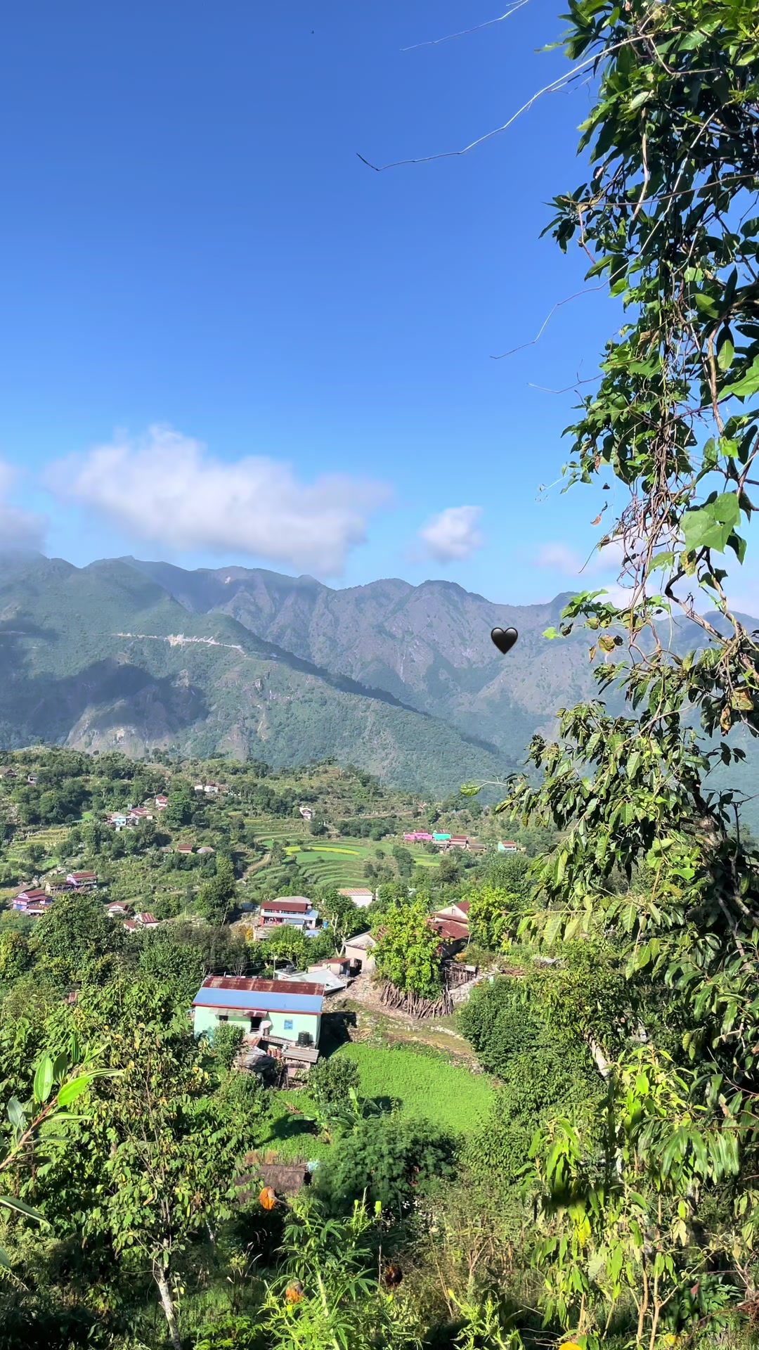 @चने 