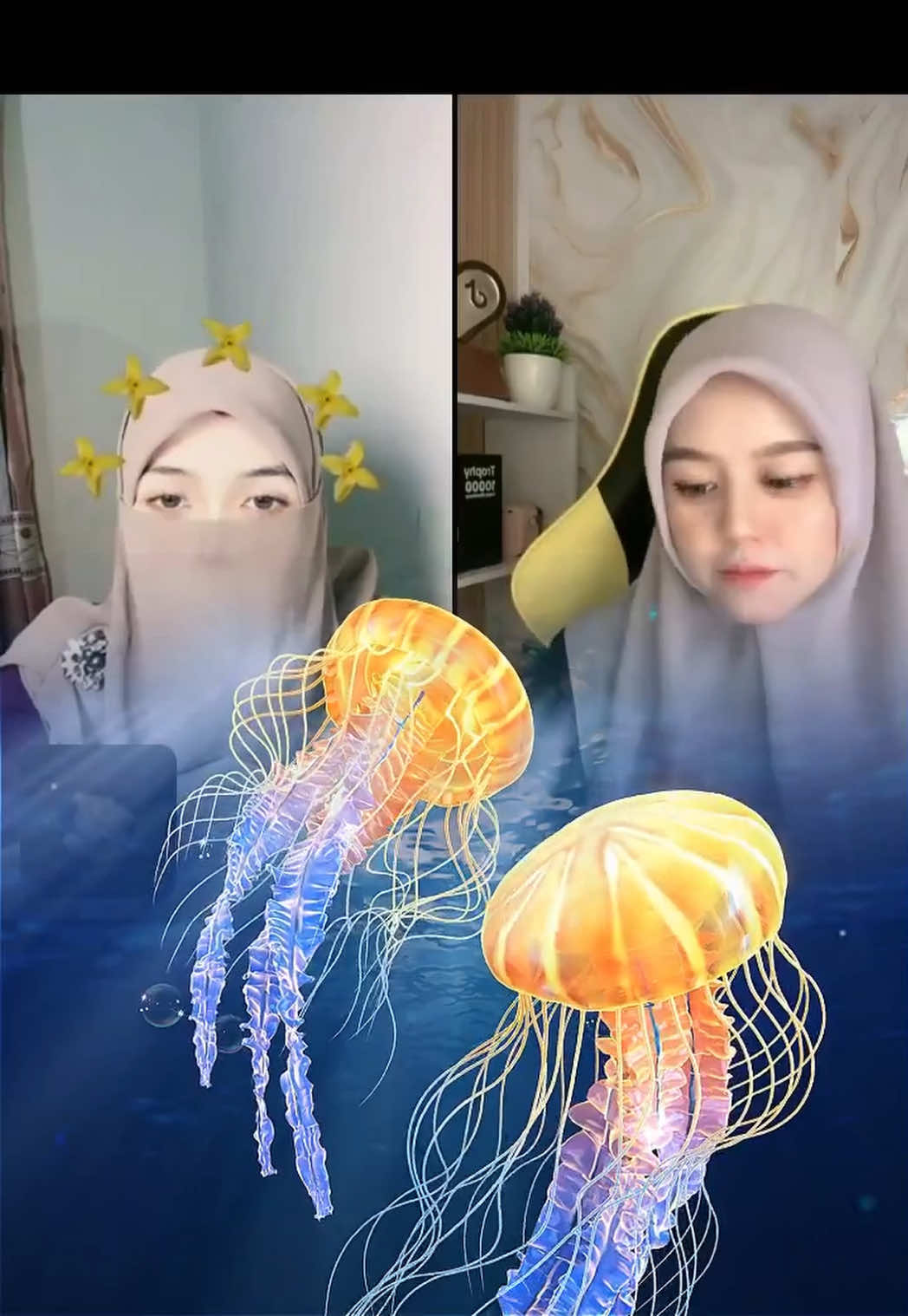 @๐ฟAisy๐