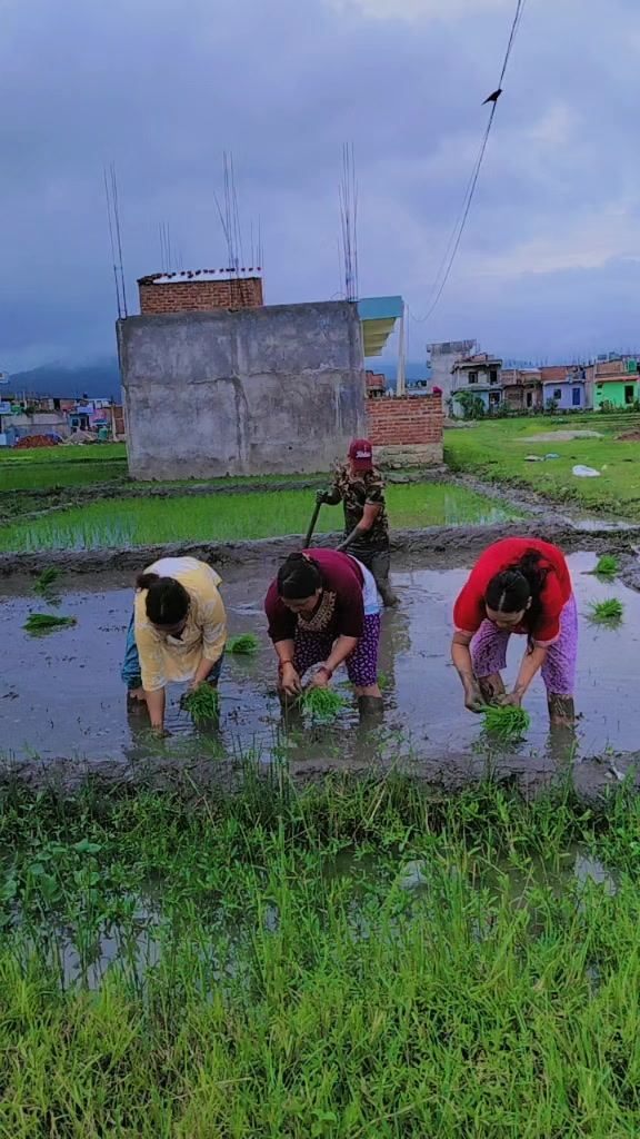 @Manisha Khadka